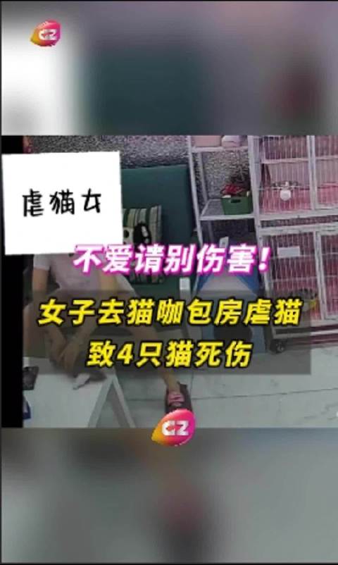 第237页
